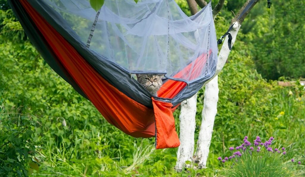 Camping Katzenzubehör